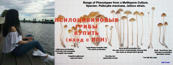 бутик Надым