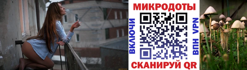 Купить Кольчугино Псилоцибиновые грибы Psilocybine cubensis