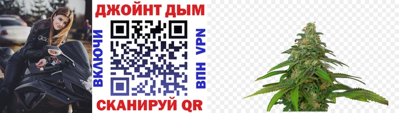 Купить закладки  Кольчугино  Шишки марихуана семена 